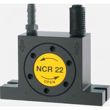 NCR22